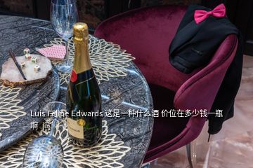 Luis Felipe Edwards 這是一種什么酒 價位在多少錢一瓶啊  問