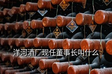 洋河酒廠現(xiàn)任董事長叫什么