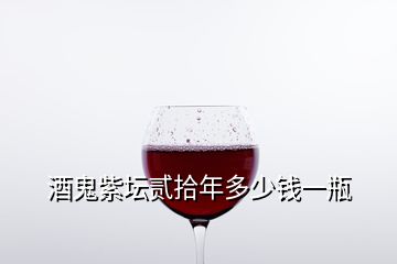 酒鬼紫壇貳拾年多少錢一瓶