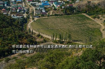 聽說最近有種軟件可以鑒定酒洋酒紅酒什么都可以還可以標(biāo)出售價(jià)