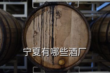 寧夏有哪些酒廠