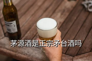 茅源酒是正宗矛臺酒嗎