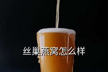 絲巢燕窩怎么樣