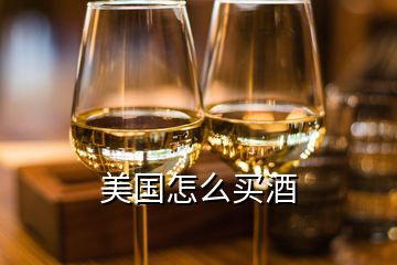 美國怎么買酒