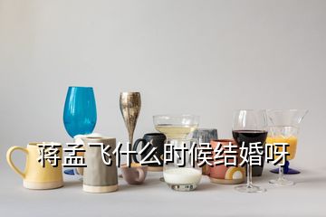 蔣孟飛什么時候結(jié)婚呀