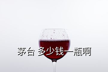 茅臺 多少錢一瓶啊