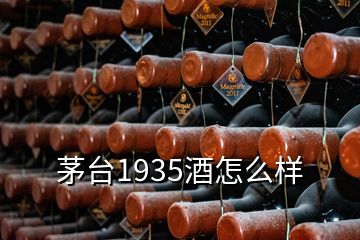 茅臺1935酒怎么樣