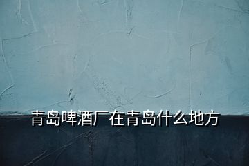 青島啤酒廠在青島什么地方