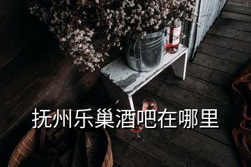 撫州樂巢酒吧在哪里