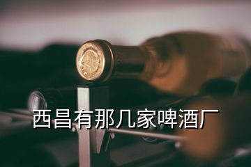 西昌有那幾家啤酒廠