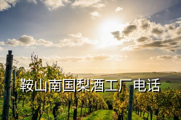 鞍山南國梨酒工廠電話