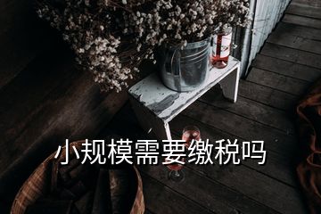 小規(guī)模需要繳稅嗎