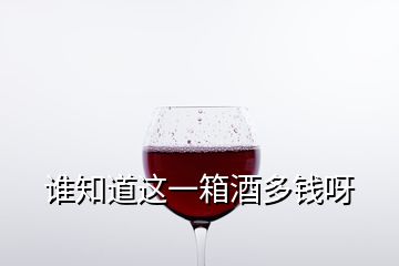 誰知道這一箱酒多錢呀