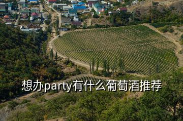 想辦party有什么葡萄酒推薦