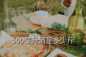 500毫升酒是多少斤