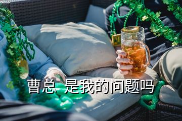 曹總  是我的問(wèn)題嗎