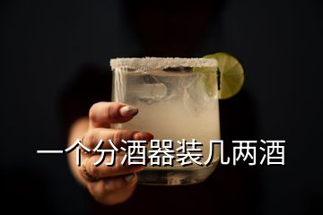 一個(gè)分酒器裝幾兩酒