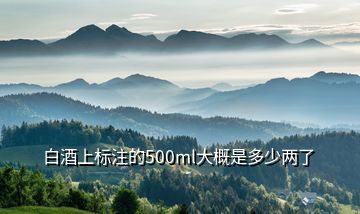 白酒上標(biāo)注的500ml大概是多少兩了