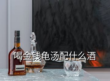 喝金錢龜湯配什么酒