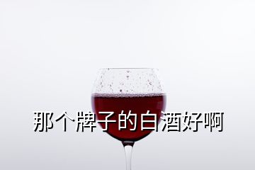 那個(gè)牌子的白酒好啊