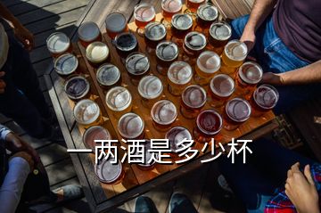 一兩酒是多少杯