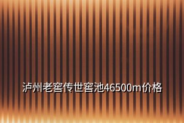 瀘州老窖傳世窖池46500m價格