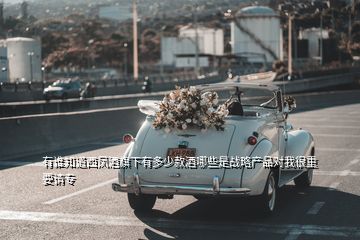 有誰知道西鳳酒旗下有多少款酒哪些是戰(zhàn)略產(chǎn)品對(duì)我很重要請(qǐng)專