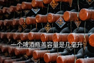 一個(gè)啤酒瓶蓋容量是幾毫升