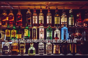 醬香型白酒好喝嗎53度飲醬酒多少錢1瓶