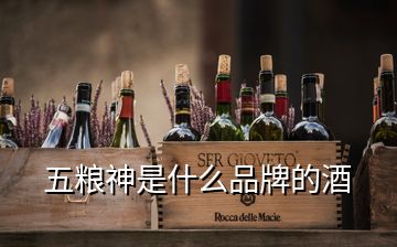 五糧神是什么品牌的酒