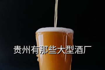 貴州有那些大型酒廠