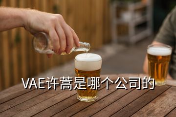 VAE許蒿是哪個公司的