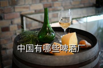 中國有哪些啤酒廠