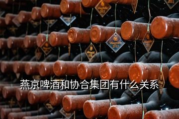 燕京啤酒和協(xié)合集團有什么關(guān)系