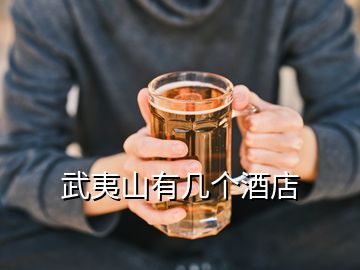 武夷山有幾個(gè)酒店