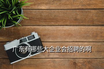 廣東有哪些大企業(yè)會(huì)招聘的啊