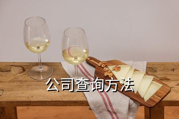 公司查詢方法