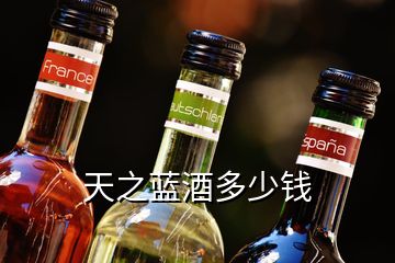 天之藍(lán)酒多少錢