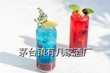 茅臺(tái)鎮(zhèn)有幾家酒廠