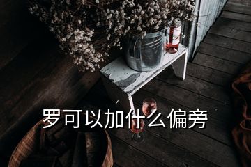 羅可以加什么偏旁