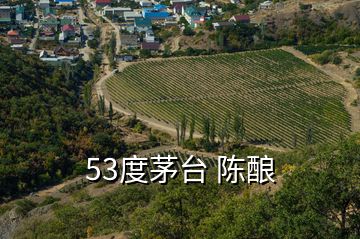 53度茅臺 陳釀