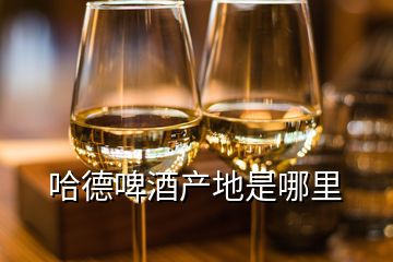 哈德啤酒產地是哪里