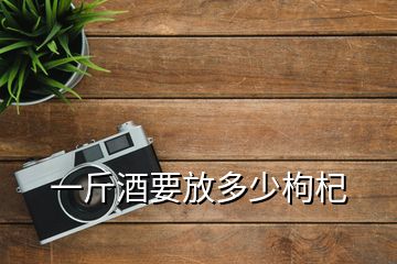 一斤酒要放多少枸杞