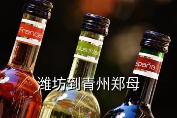 濰坊到青州鄭母