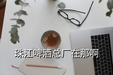 珠江啤酒總廠在那啊