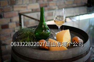 063322822027是山東哪個公司