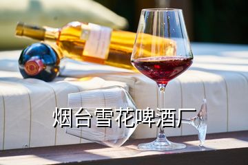 煙臺(tái)雪花啤酒廠