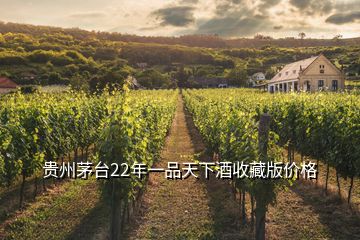 貴州茅臺22年一品天下酒收藏版價格