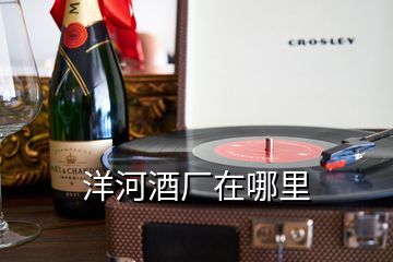 洋河酒廠在哪里