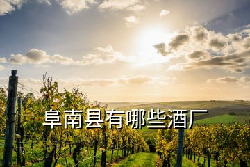 阜南縣有哪些酒廠